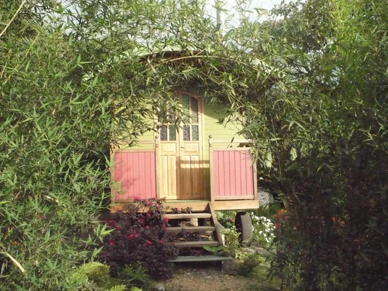 Hosteria La Roulotte - Mindo Buitenkant foto